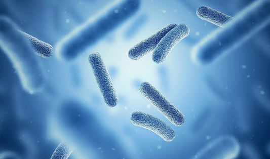 Le Microbiote, la clé de la santé articulaire